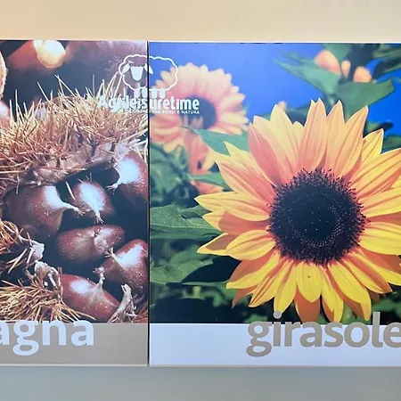 Agrileisuretime Сполето