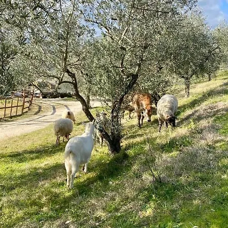 Agrileisuretime * Spoleto