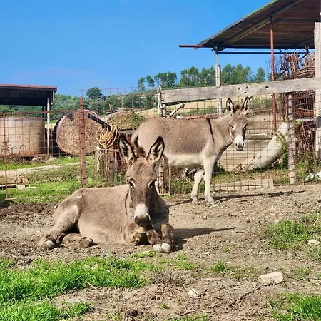 Farm stay Agriturismo Agrileisure Time
