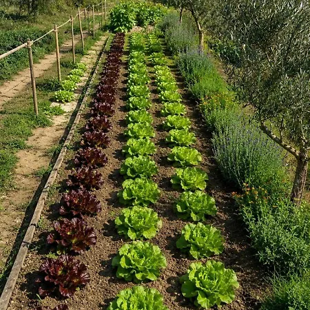 Agrileisuretime Alloggio per agriturismo Spoleto